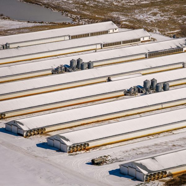 Choosing the Right Concrete System for Agricultural Buildings