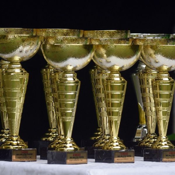 award cup, victory, winner, TC Named Award-Winning Industrial Roofing Contractor